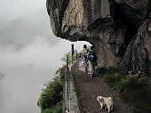DA PIANEZZA LUNGO L’”AUTUNNALE” VALLE DEL GLENO VERSO IL PASSO DI BELVISO il 13 giugno 2010 - FOTOGALLERY